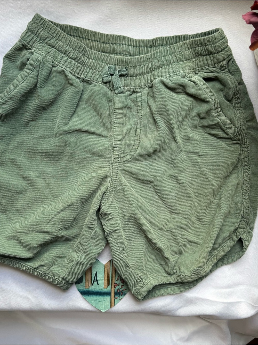 Tea Collection Kids Shorts - Corduroy